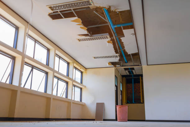 Best Water damage cleanup near me  in Mec, CA