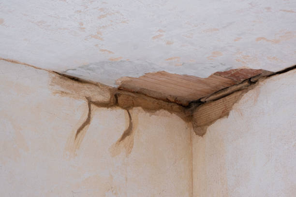 Best Flood restoration services  in Mec, CA