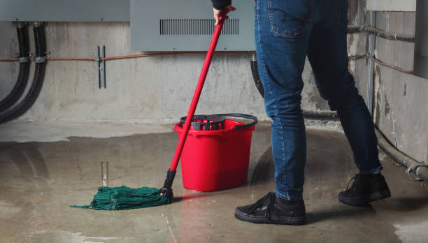 Best Water damage restoration near me  in Mec, CA