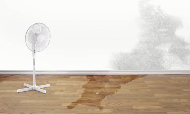 Best Flood damage cleanup  in Mec, CA