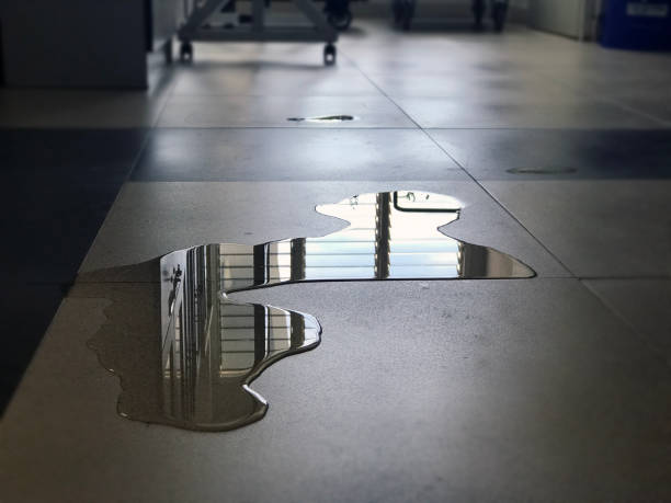 Best Water damage contractors near me  in Mec, CA