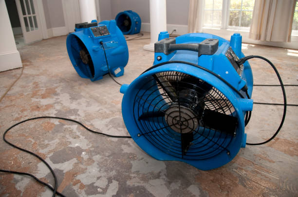 Best Mold removal after water damage  in Mec, CA