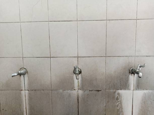 Best Flood restoration services  in Mec, CA
